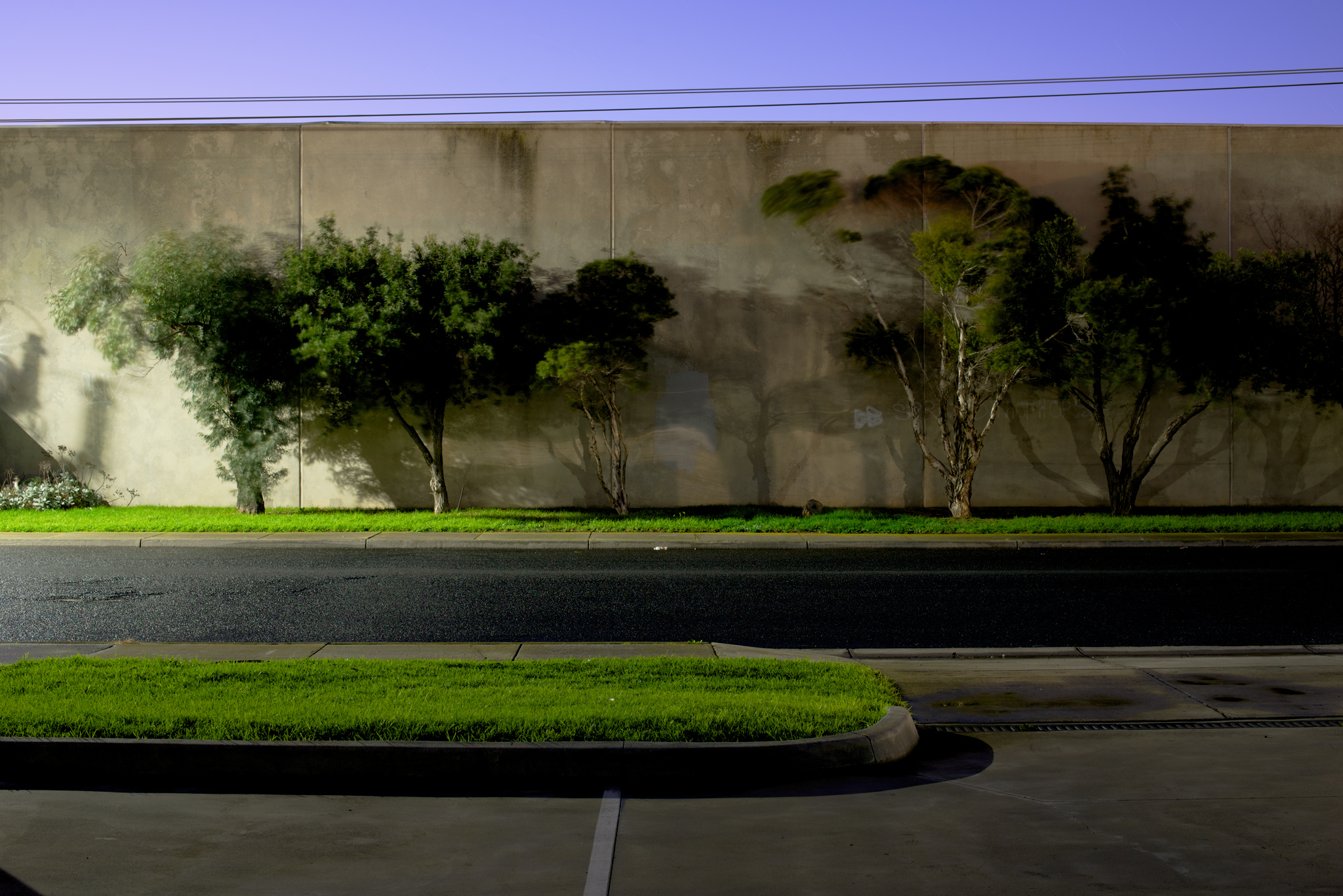Wall with Bushes