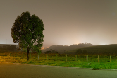 140723_9_Diggers_2048 Diggers