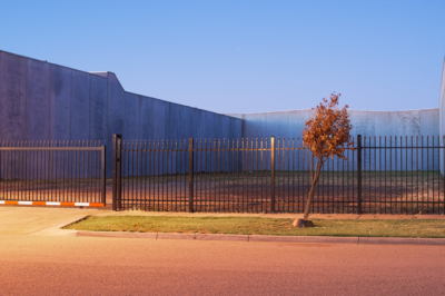 151230_28_Dead_Bush_2048 Dead Bush