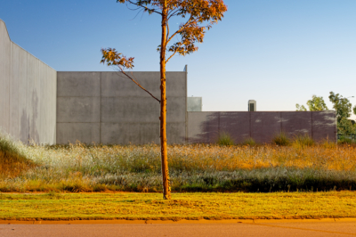 161116_37_Bark_x2048 Bark