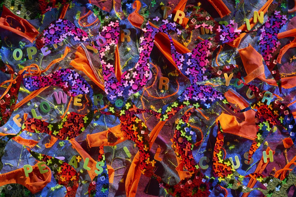 Flowers Flowers