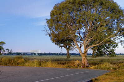 Bill_Lane_Fringe_161207_36 Fringe