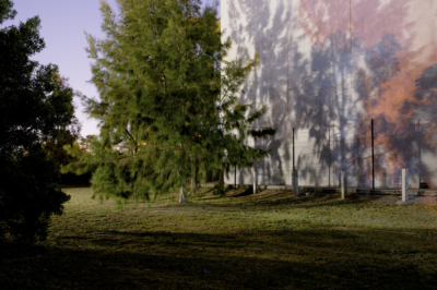 Bill_Lane_Shadows_160225_15 Shadows